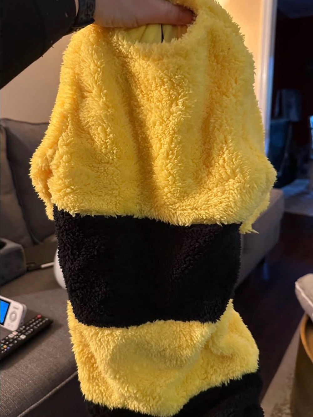 Baby 0-3 month Bumblebee Costume suit with hat- Yellow & Black